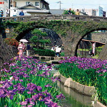 高瀬裏川に咲く花菖蒲と目鏡橋